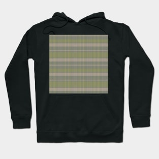 Cottagecore Aesthetic Calan 1 Hand Drawn Textured Plaid Pattern Hoodie